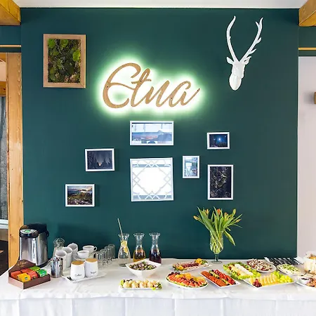 Etna - W Centrum 게스트하우스 3*