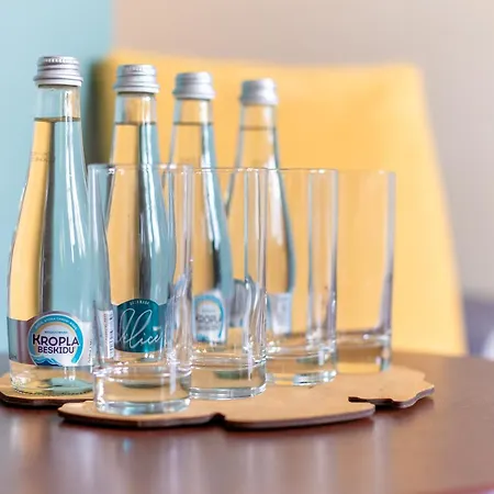 בית הארחה Etna - W Centrum שצ'קלארסקה פוראובה