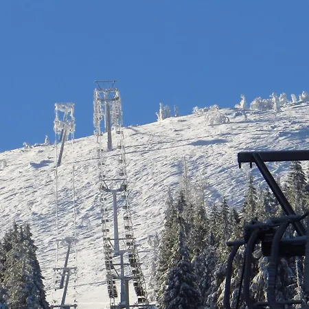 게스트하우스 Etna - W Centrum 3*