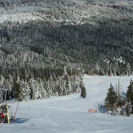 Etna - W Centrum *